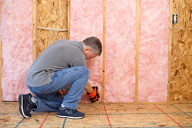 Professional Insulation Contractor in Indian Head, MD