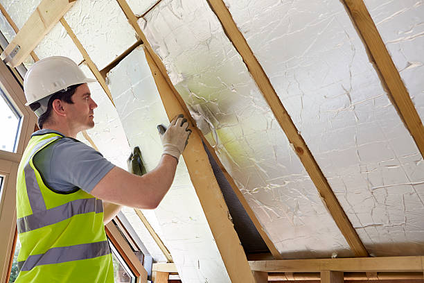 Best Specialized Insulation Services in Indian Head, MD