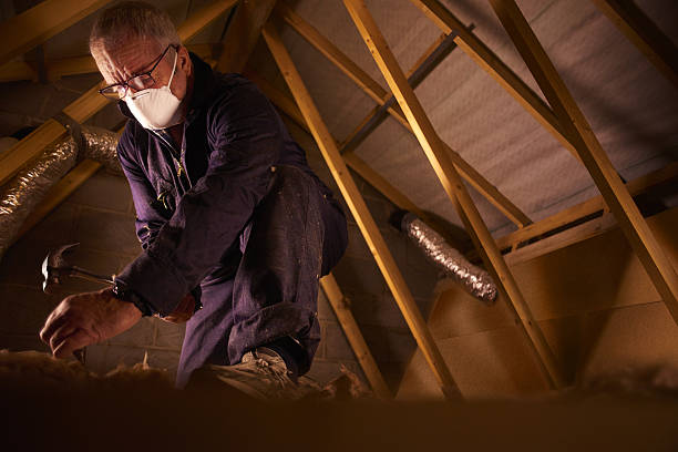 Best Commercial Insulation in Indian Head, MD