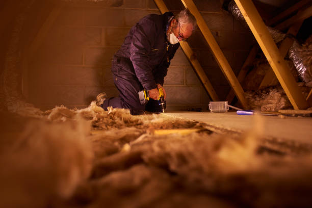 Best Blown-in Insulation in Indian Head, MD